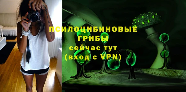 герыч Алзамай